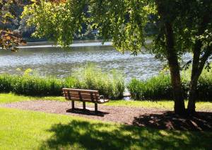 "My" bench at Lake Ellyn Park